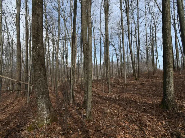 2366 S Yukon Dr, Mikado, MI 48745