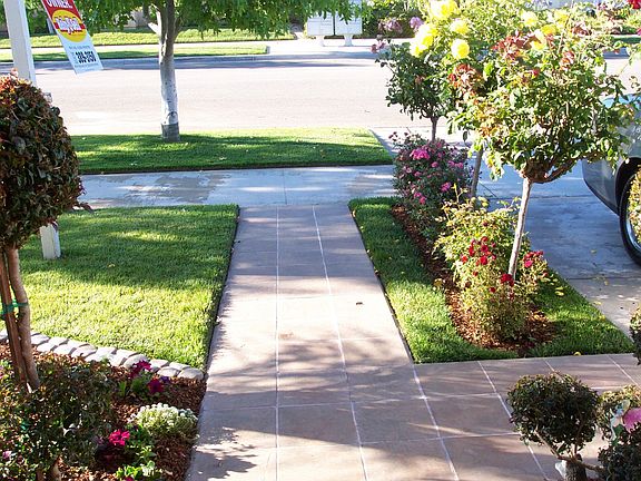 Front Walkway