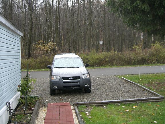 Parking and forest