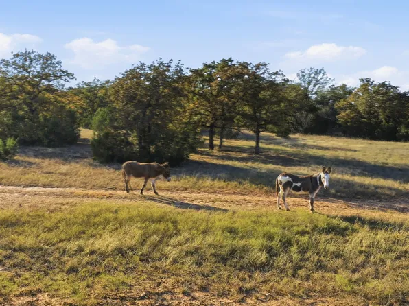 11031 Brock Hwy, Lipan, TX 76462