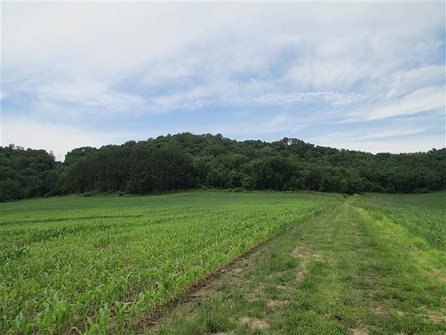 1st image of 50 Acres Hwy W #14