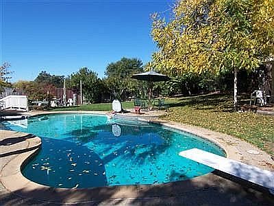 BACKYARD PARADISE