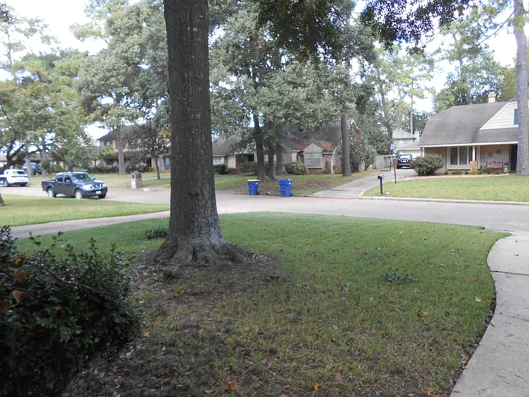 View of the neighborhood.