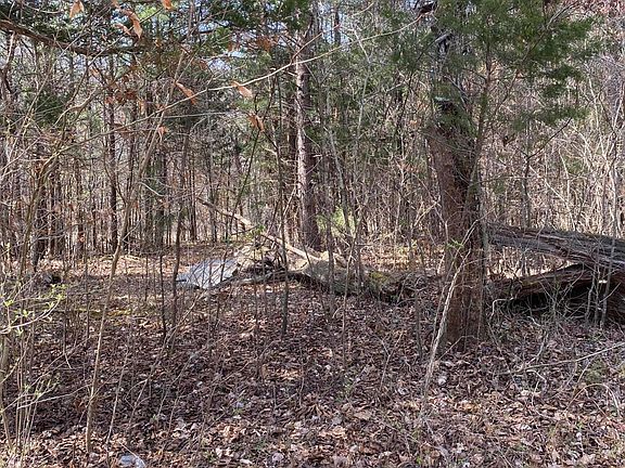 2nd image of LOT 19 N Fork Dr