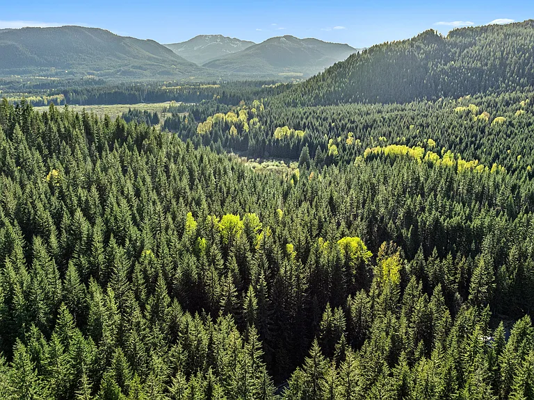 2982 Kachess Lake Rd — Photo 38