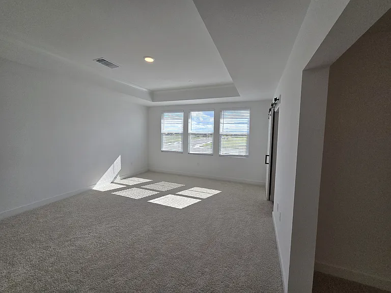 Master bedroom with step ceiling