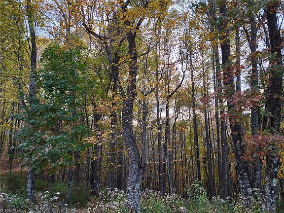2nd image of 10 Hidden Valley Ln Lot 10