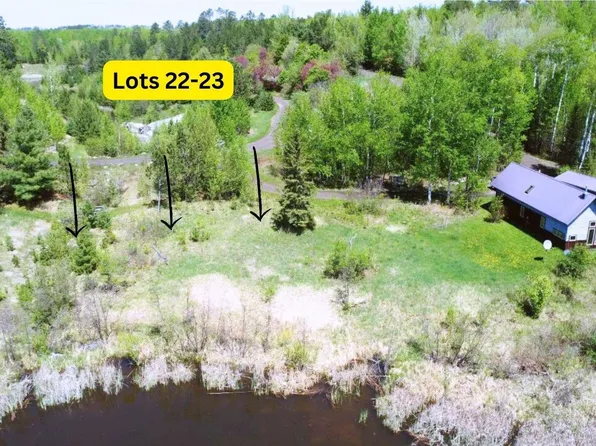 80046 Alder Ln, Tower, MN 55790