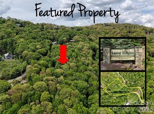 0 Leatherwood Rd, Maggie Valley, NC 28751