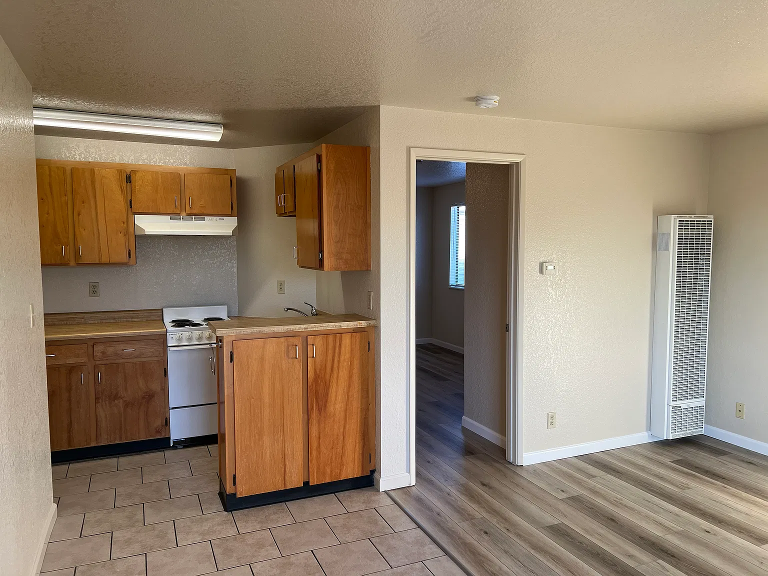 1 bed, 435 sqft, $995 — Photo 4