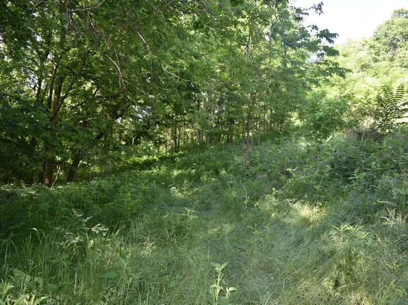 0 Brooks Bend Ln Lot 2, Gainesboro, TN 38562