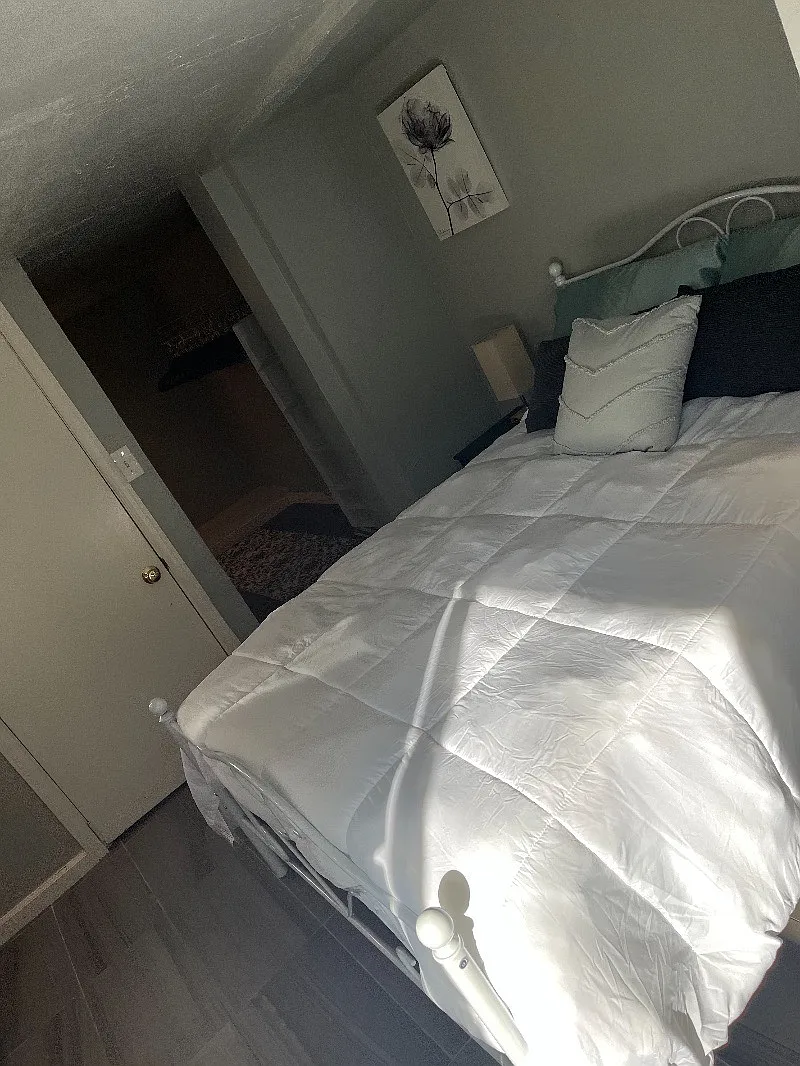 Studio, 350 sqft, $1,949 — Photo 4