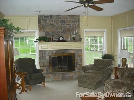Garden view/Ventless Fireplace : Another stone fireplace in basement.