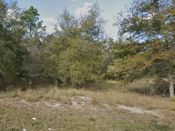 7116 Alloy St #6, Webster, FL 33597