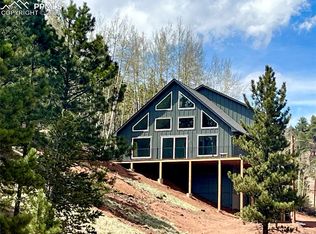 75 Beaver Pond Rd, Divide, CO 80814