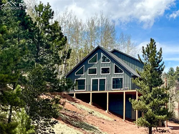 75 Beaver Pond Rd, Divide, CO 80814