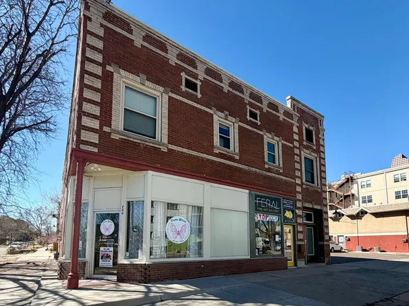 736 E 18th Avenue, 736 E 18th Ave APT 1, Denver, CO 80203
