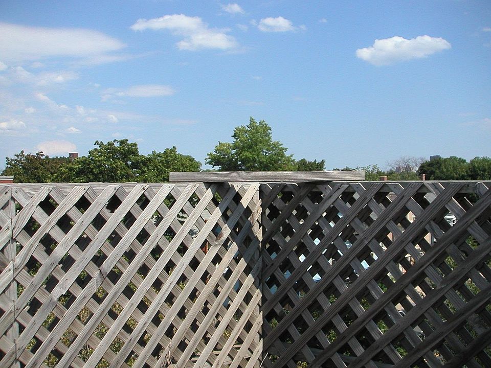 view from the roof deck!