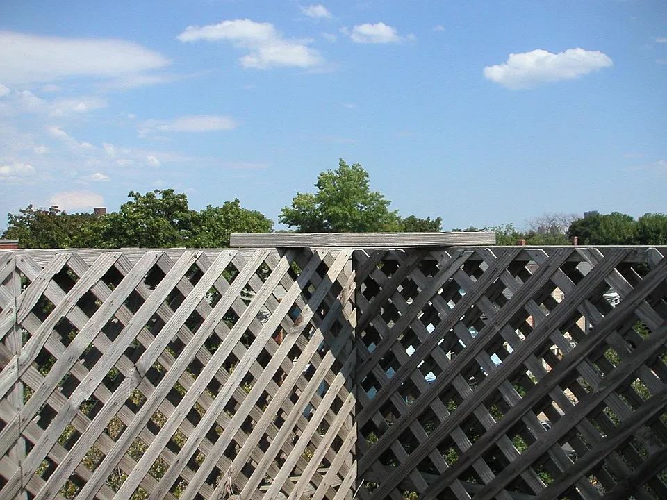 view from the roof deck!