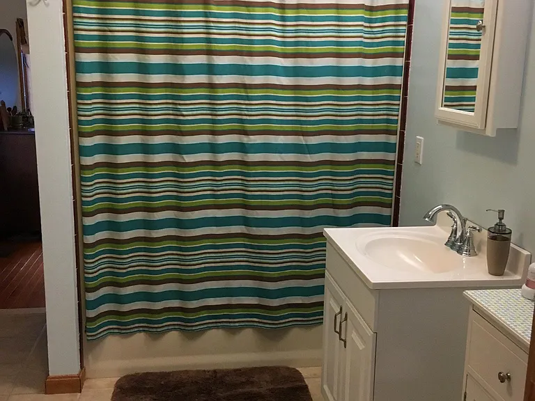 1st Floor Master Bath
