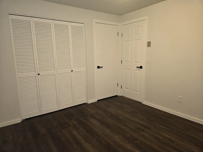 View from inside S. bedroom. Full size closet. With additional storage closet.