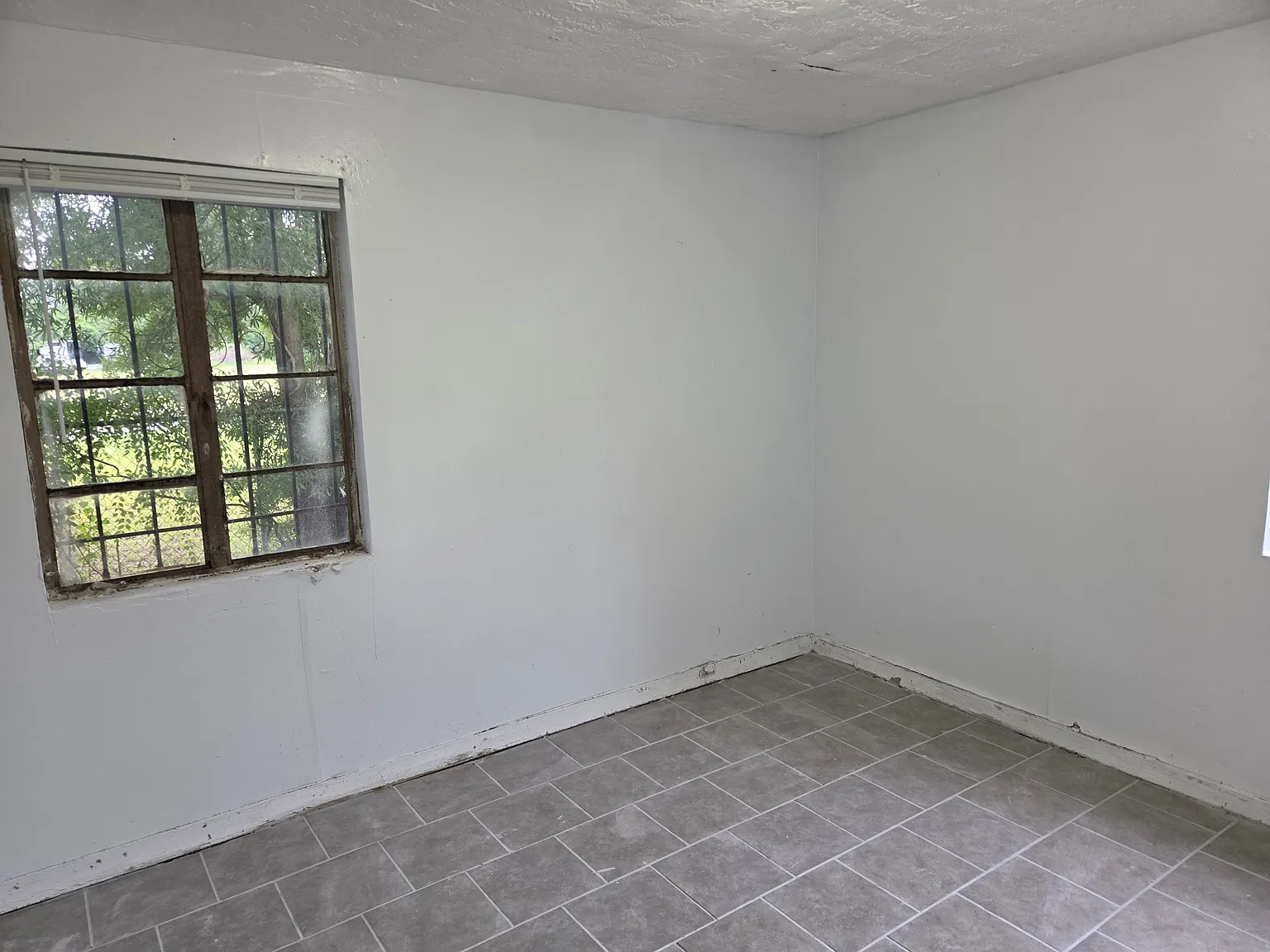1669 Douglas Street - 1 — Photo 4