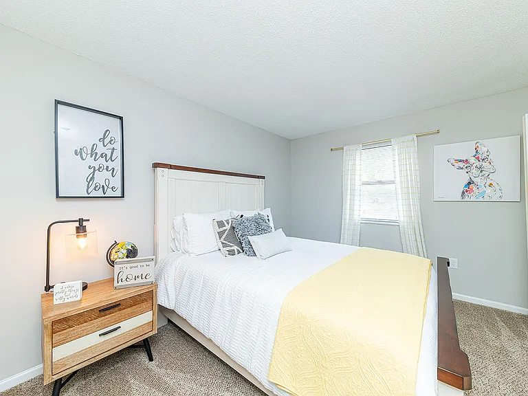 Cozy bedroom with carpet