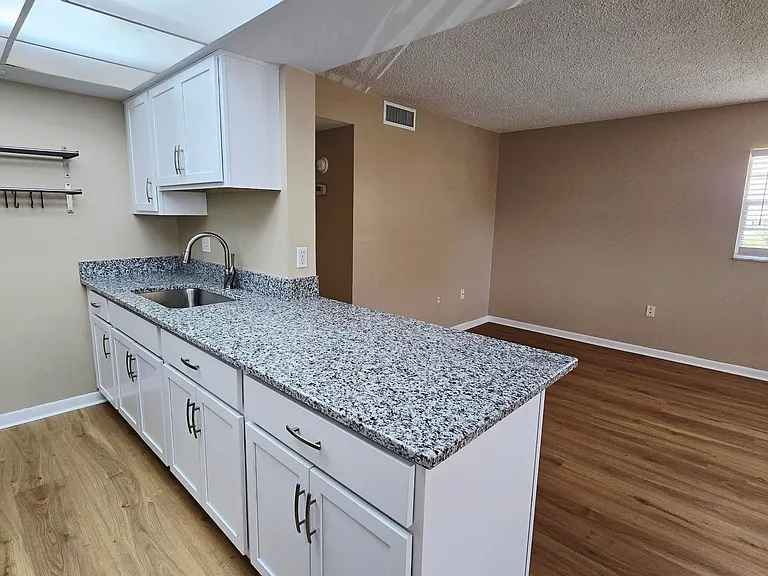 203 46th Avenue Ter W #437 — Photo 4