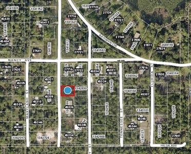 Pennsylvania St LOT 41, Paisley, FL, 32767