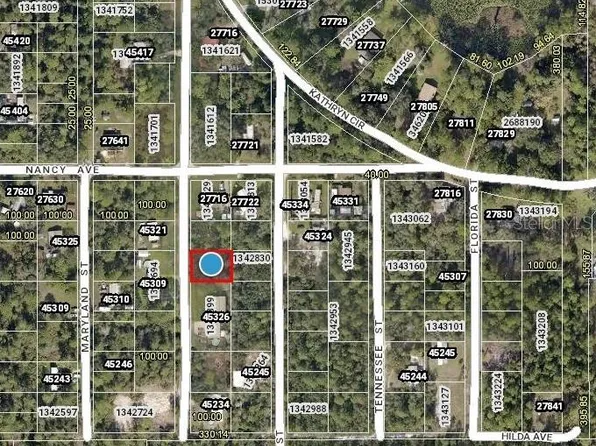 Pennsylvania St Lot 41, Paisley, FL 32767