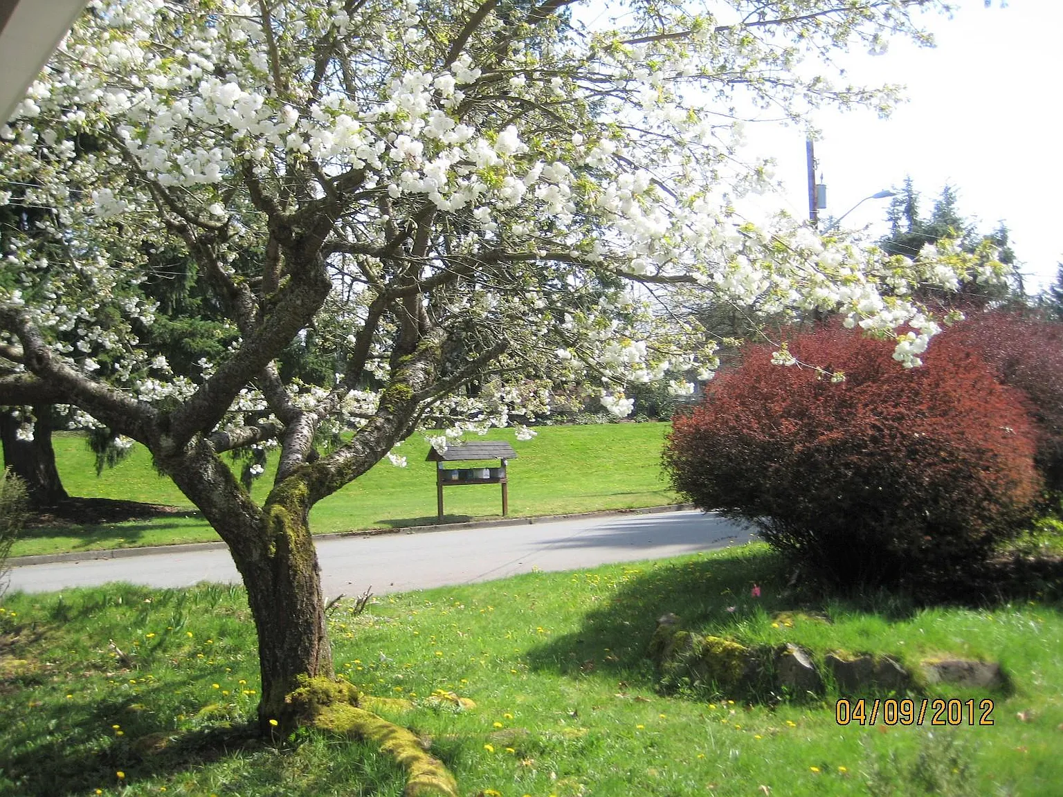 147th Place SE, Bellevue — Photo 2