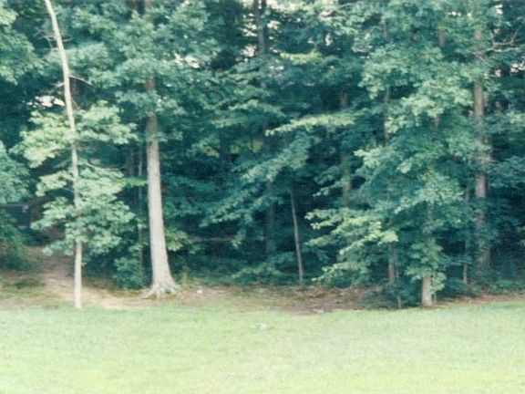 View from the front porch
