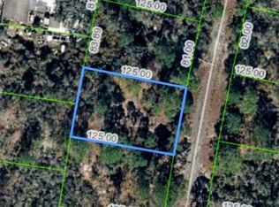 320 Blue Heaven Dr, Lake Placid, FL 33852