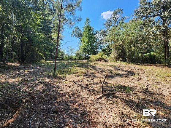 4th image of 5560 Travis Rd