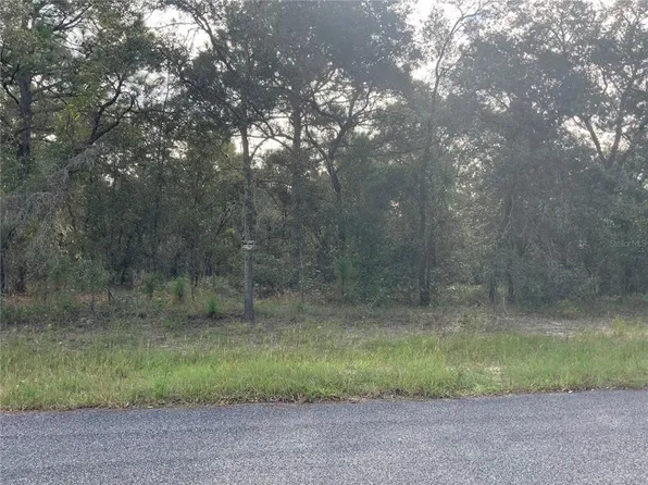 0 SE 139th Ter Lot 11, Morriston, FL 32668