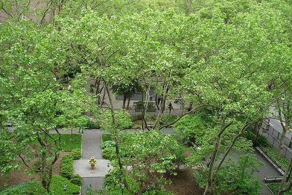 Sold by Ostrov Realty Group | media 2