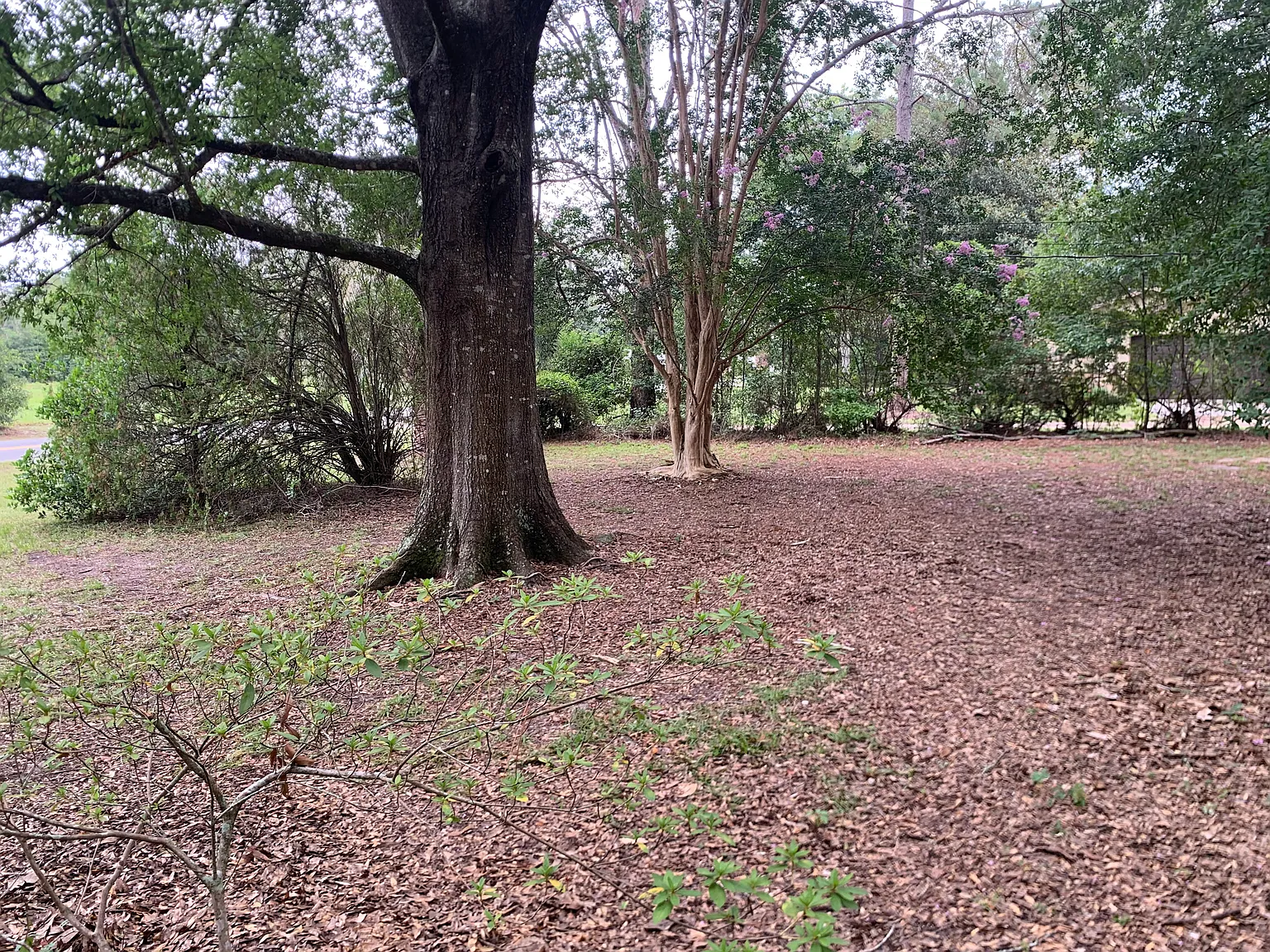 2 bed, $895 — Photo 2