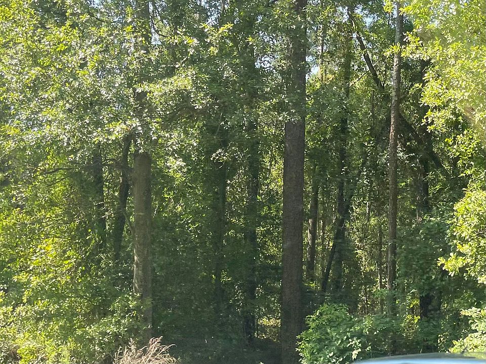 2nd image of 125 Sudlow Lake Rd