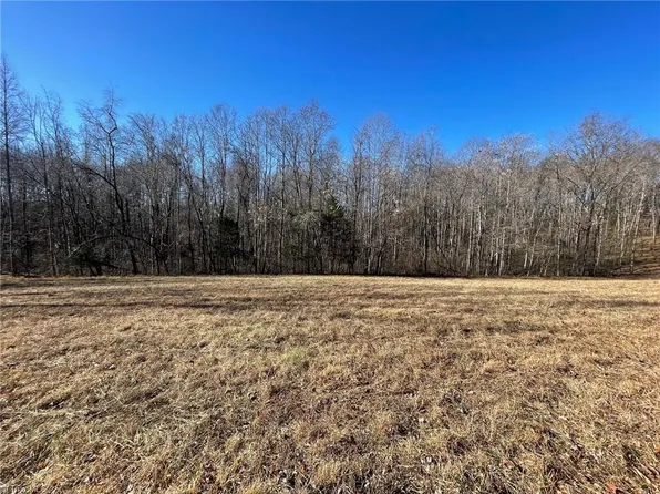 0 Ray Wilson Rd, Sandy Ridge, NC 27046