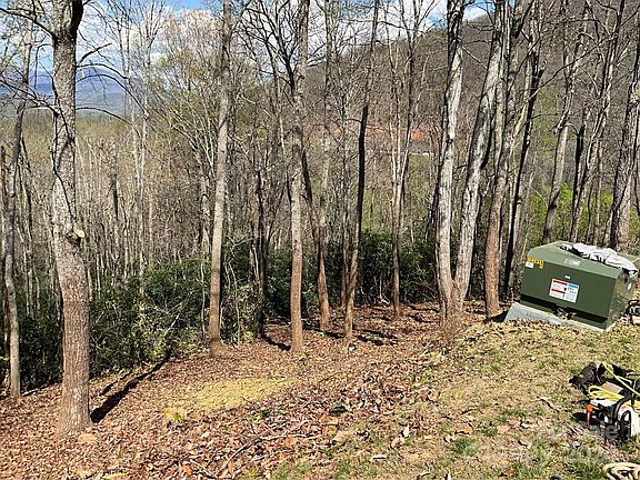 2nd image of 115 High Hickory Trl