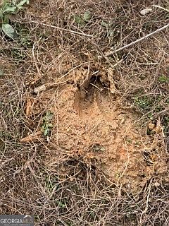 3rd image of 0 Rutledge Rd