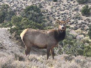 Lonesome Elk Rd, Las Vegas, NV 89124