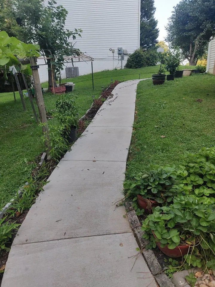 2 bed, 1150 sqft, $1,700 — Photo 4