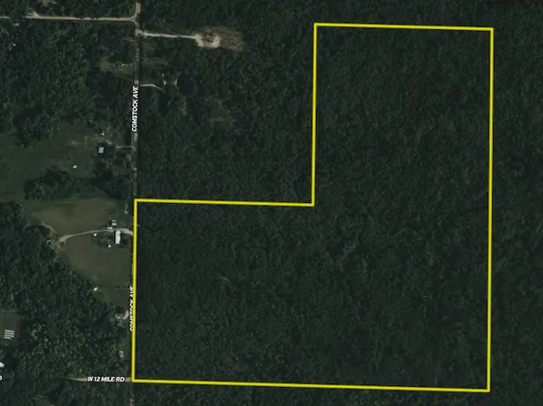 N Comstock Ave, Bitely, MI 49309