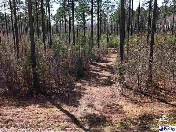 3rd image of Tracts 1 & 2 Snow Hill Rd