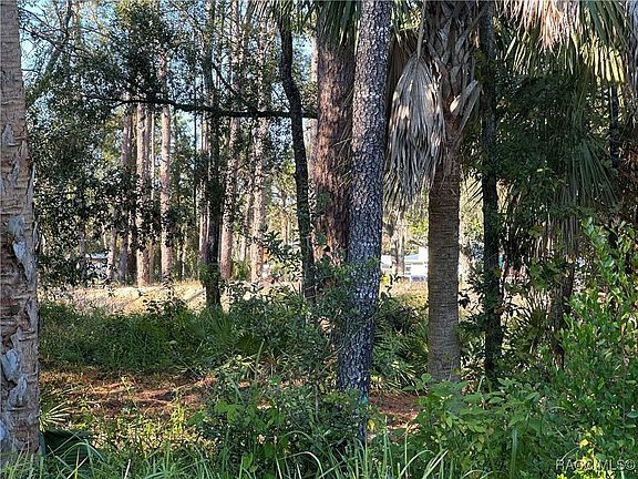 5th image of 6348 W Flanders Ln