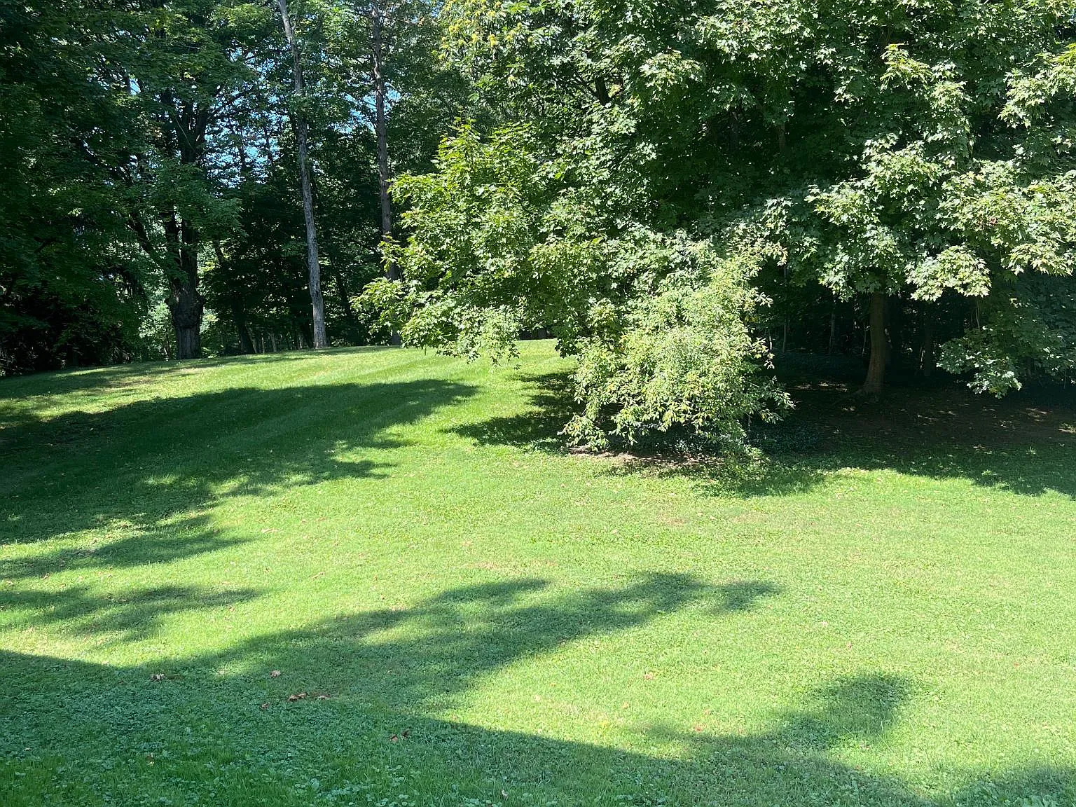 8272 Sisson Hwy — Photo 4