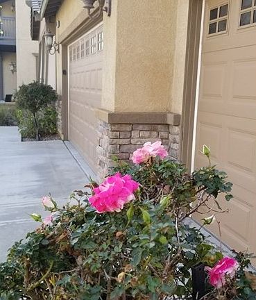 5th image of 53009 Sweet Juliet Ln