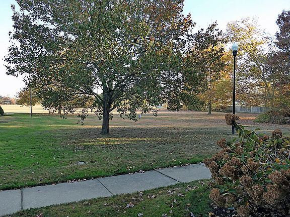 View From Patio