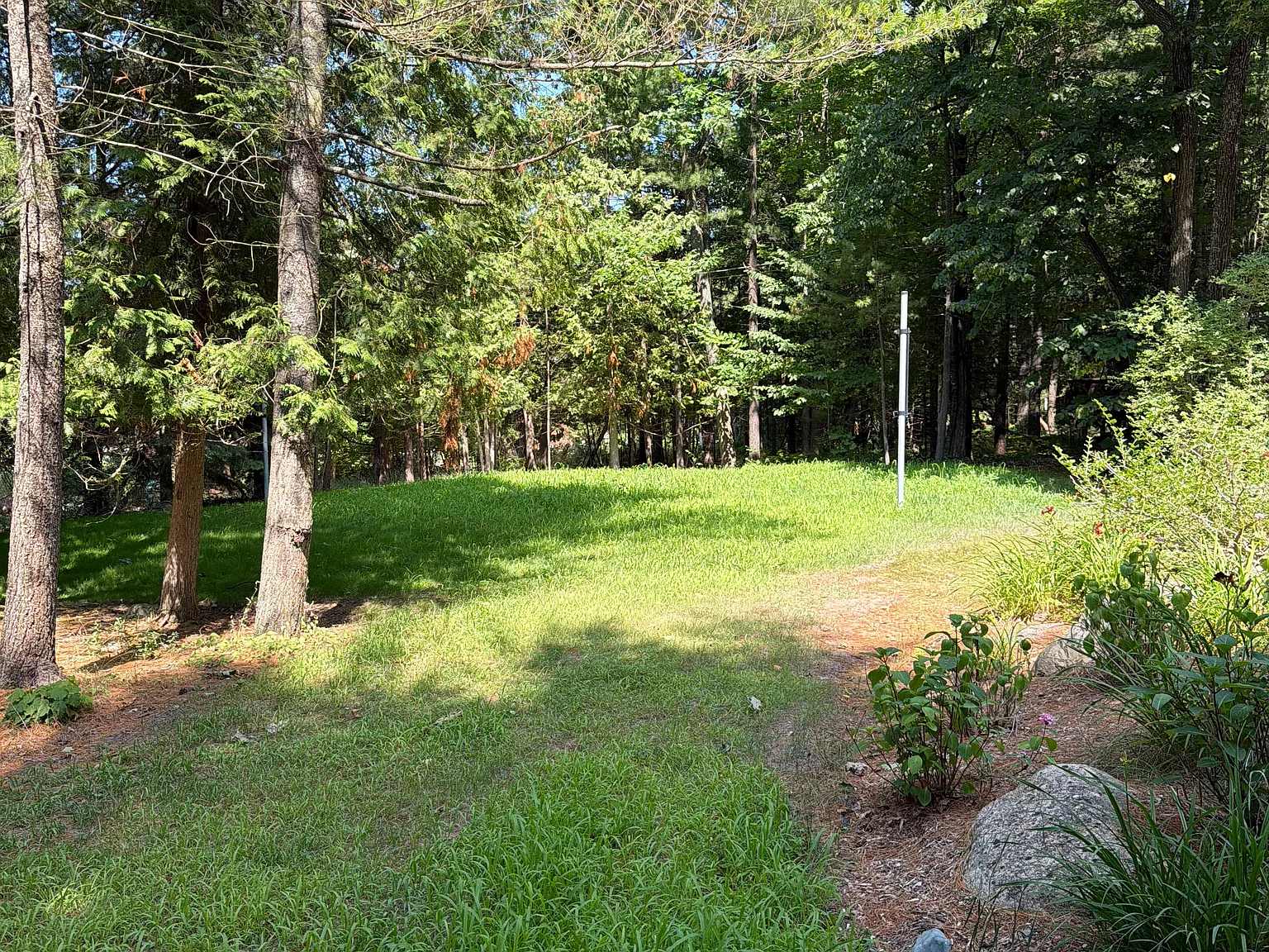 3 bed, 1600 sqft, $2,100 — Photo 3